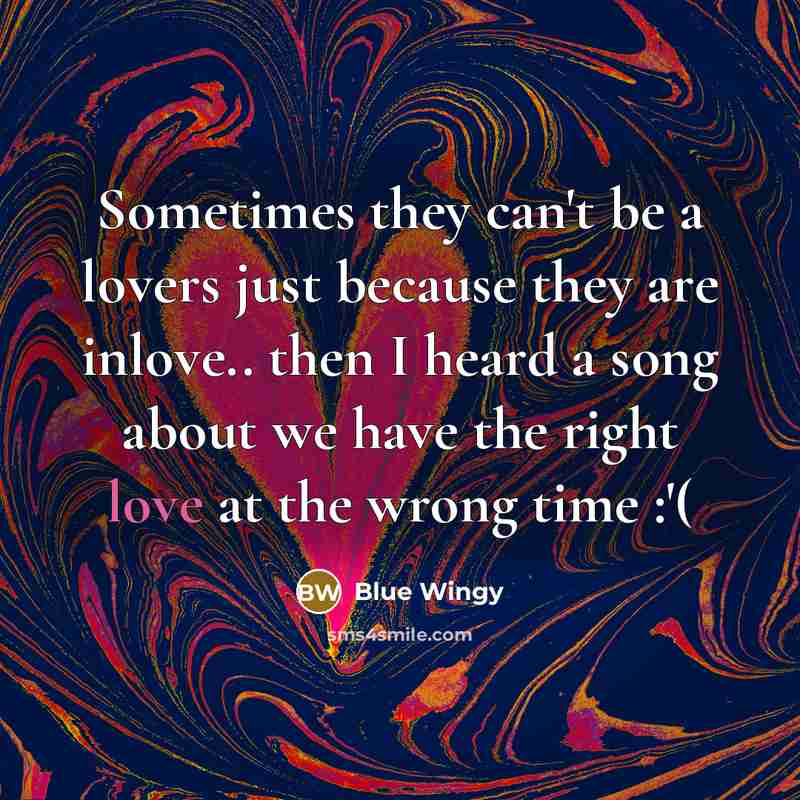 “Sometimes they can't be a lovers just because they are…” quote by Blue Wingy