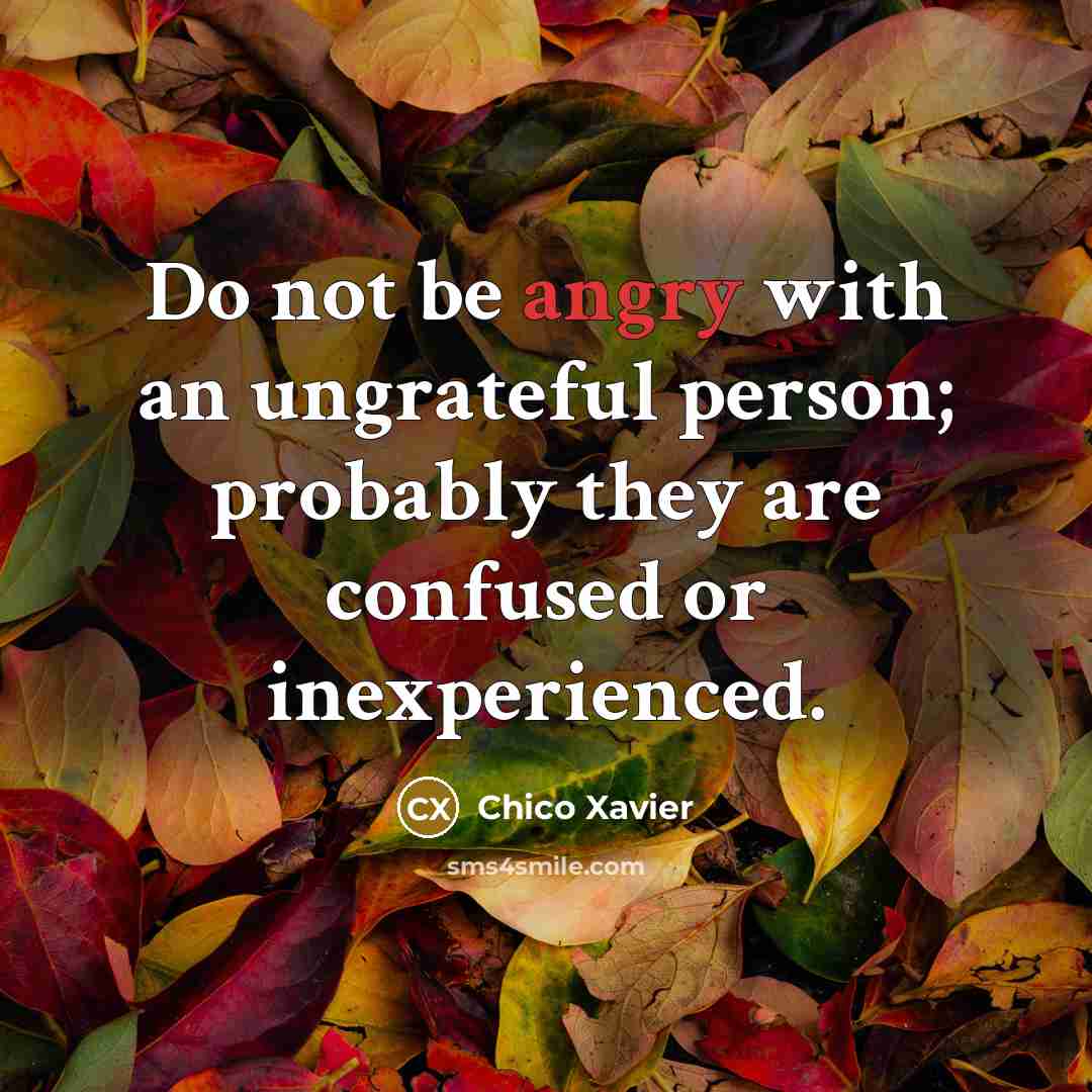 “Do not be angry with an ungrateful person; probably they…” quote by Chico Xavier