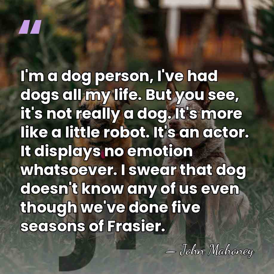 I'm a dog person, I've had dogs all my life. But you&hellip; - John Mahoney