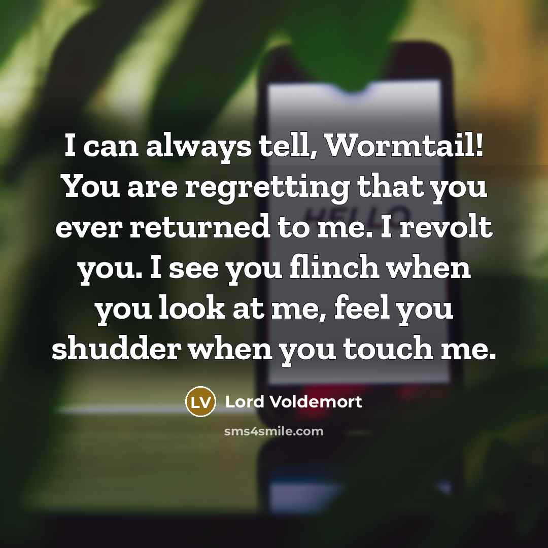 “I can always tell, Wormtail! You are regretting that you…” quote by Lord Voldemort