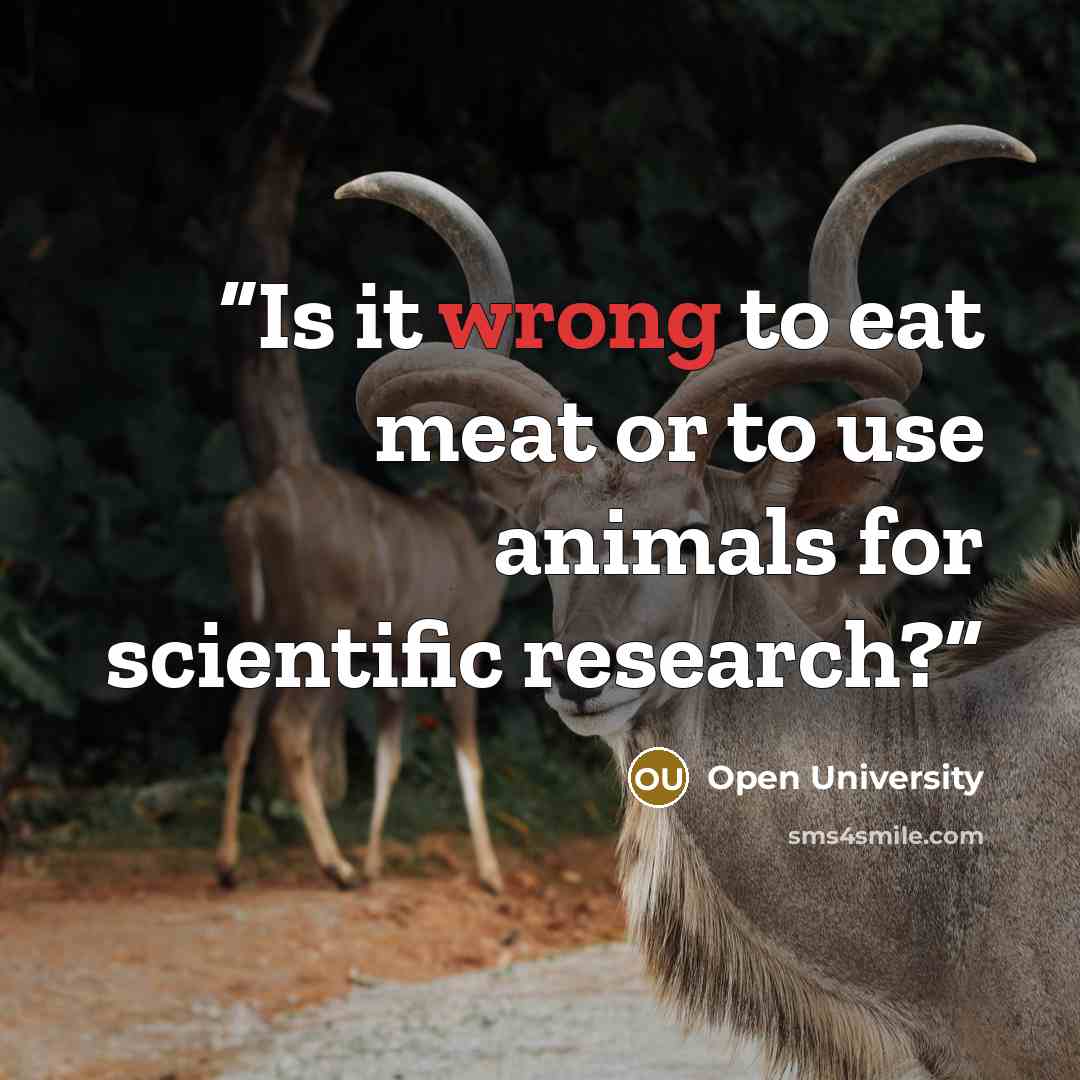 “Is it wrong to eat meat or to use animals for scientific research?” quote by Open University