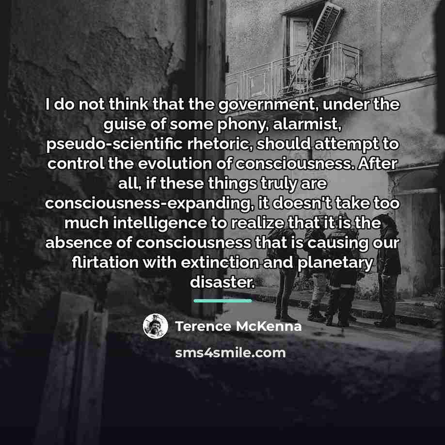 “I do not think that the government, under the guise…” quote by Terence McKenna
