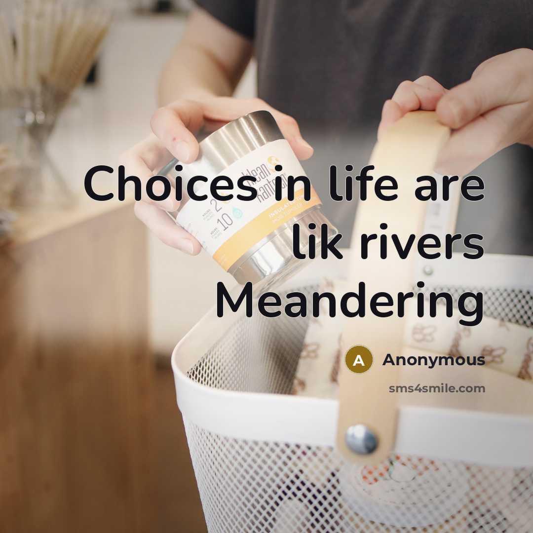 “Choices in life are lik rivers Meandering” quote by Anonymous