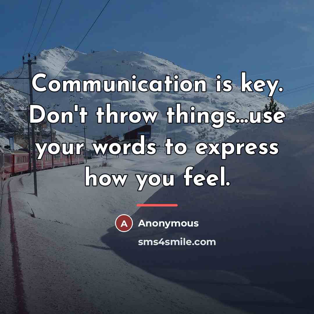 “Communication is key. Don't throw things...use your words to express…” quote by Anonymous