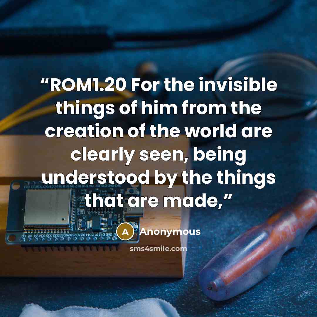 “ROM1.20 For the invisible things of him from the creation of the world are clearly seen, being understood by the things that are made,” quote by Anonymous
