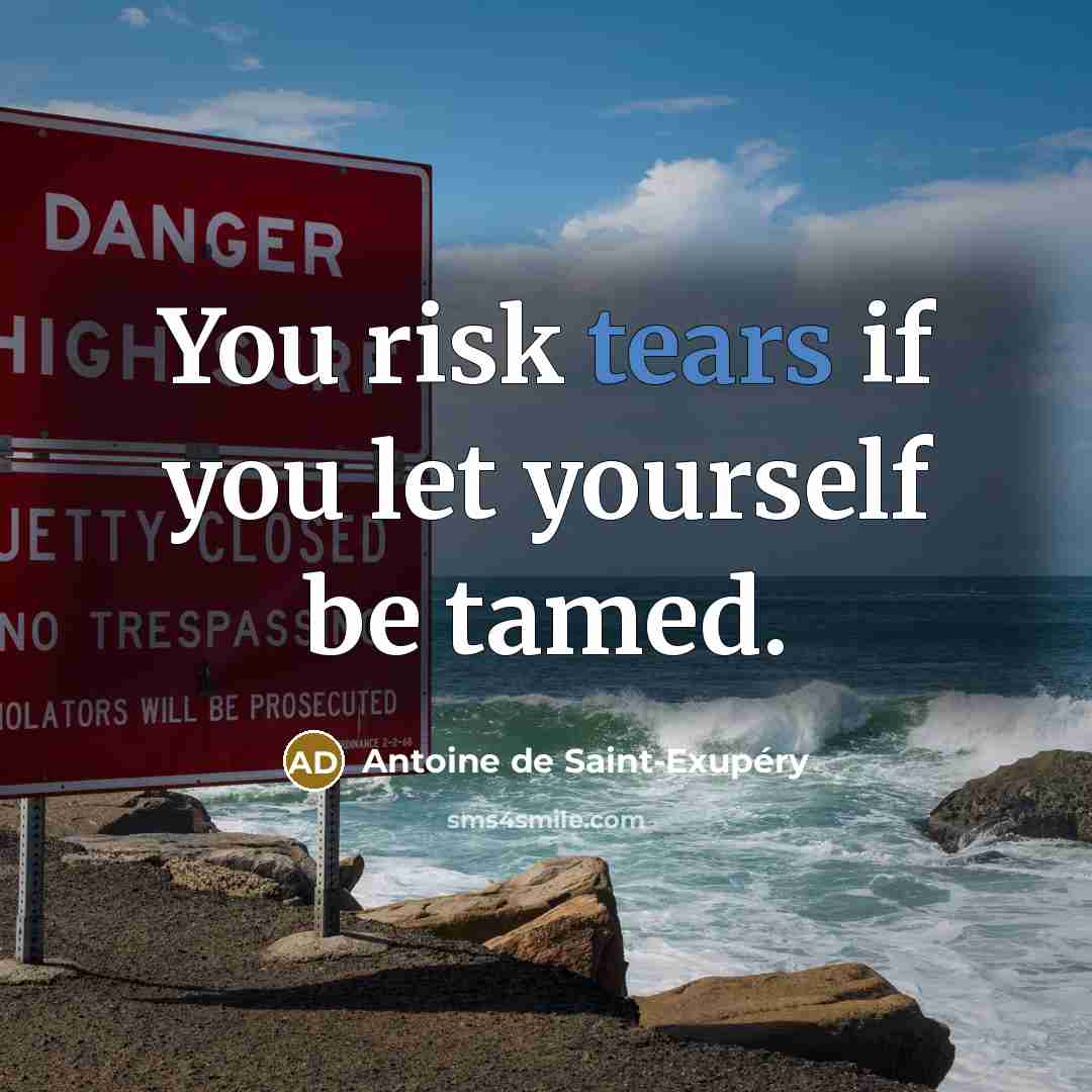 “You risk tears if you let yourself be tamed.…” quote by Antoine de Saint-Exupery