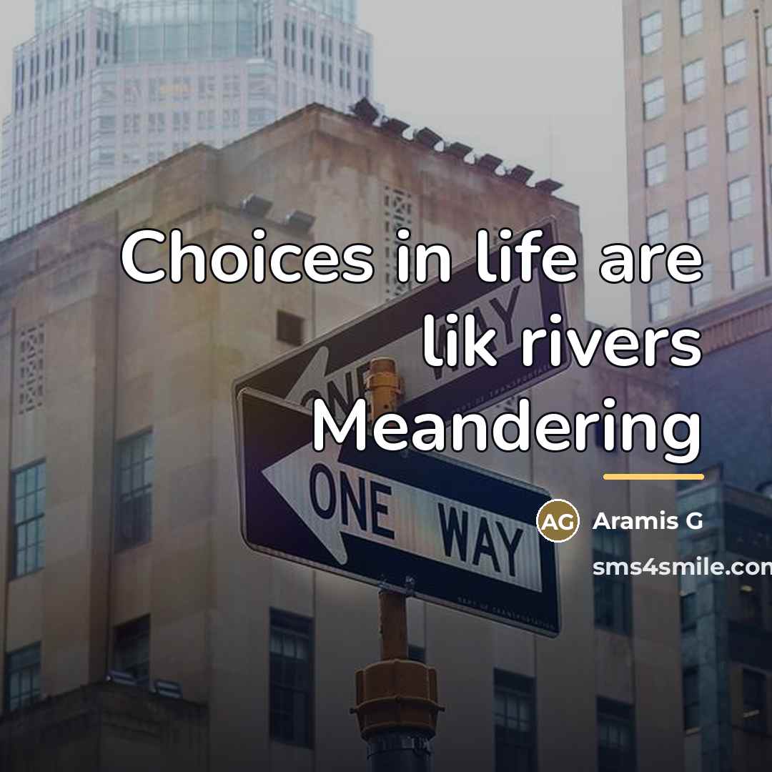 “Choices in life are lik rivers Meandering…” quote by Anonymous