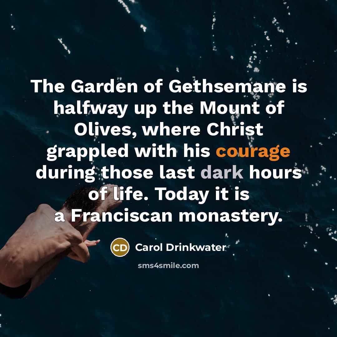 “The Garden of Gethsemane is halfway up the Mount of…” quote by Carol Drinkwater
