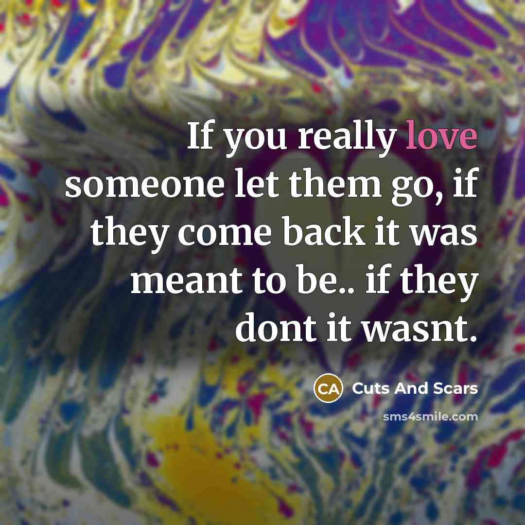 “If you really love someone let them go, if they…” quote by Cuts And Scars