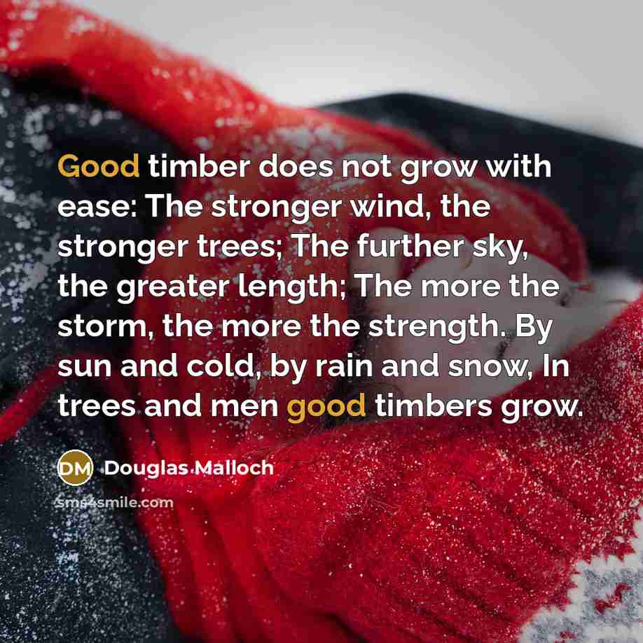 “Good timber does not grow with ease: The stronger wind,…” quote by Douglas Malloch