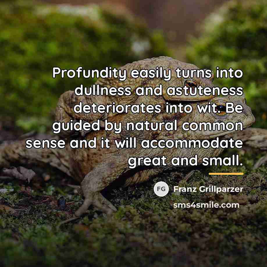 “Profundity easily turns into dullness and astuteness deteriorates into wit.…” quote by Franz Grillparzer