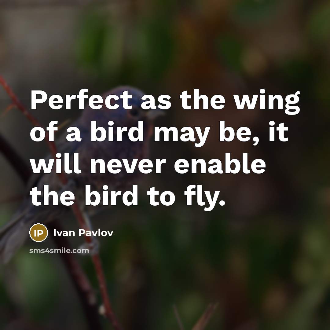 “Perfect as the wing of a bird may be, it…” quote by Ivan Pavlov