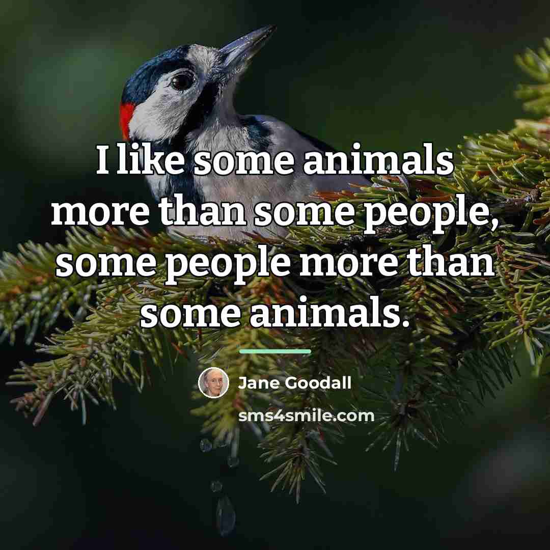 “I like some animals more than some people, some people…” quote by Jane Goodall