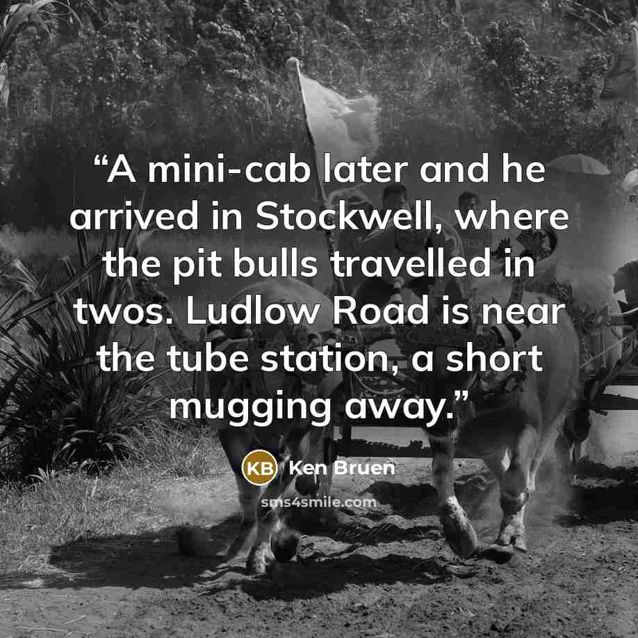 “A mini-cab later and he arrived in Stockwell, where the pit bulls travelled in twos. Ludlow Road is near the tube station, a short mugging away.” quote by Ken Bruen
