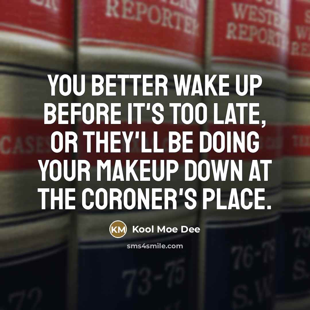 “You better wake up before it's too late, or they'll…” quote by Kool Moe Dee