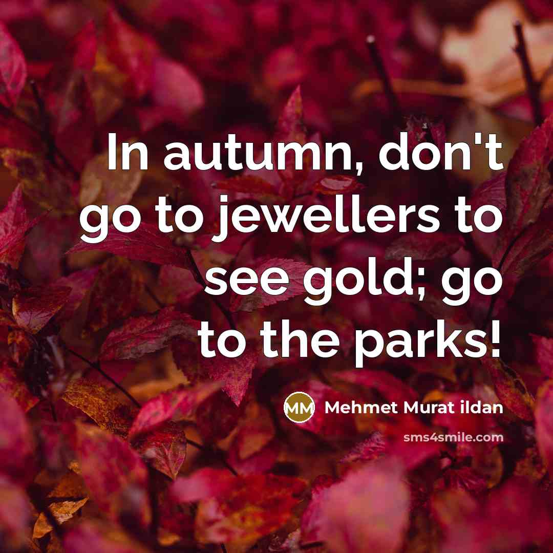 “In autumn, don't go to jewellers to see gold; go…” quote by Mehmet Murat Ildan