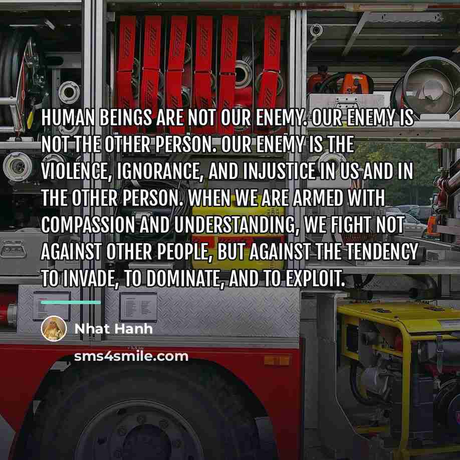 “Human beings are not our enemy. Our enemy is not…” quote by Nhat Hanh