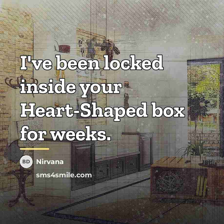“I've been locked inside your Heart-Shaped box for weeks.…” quote by Nirvana
