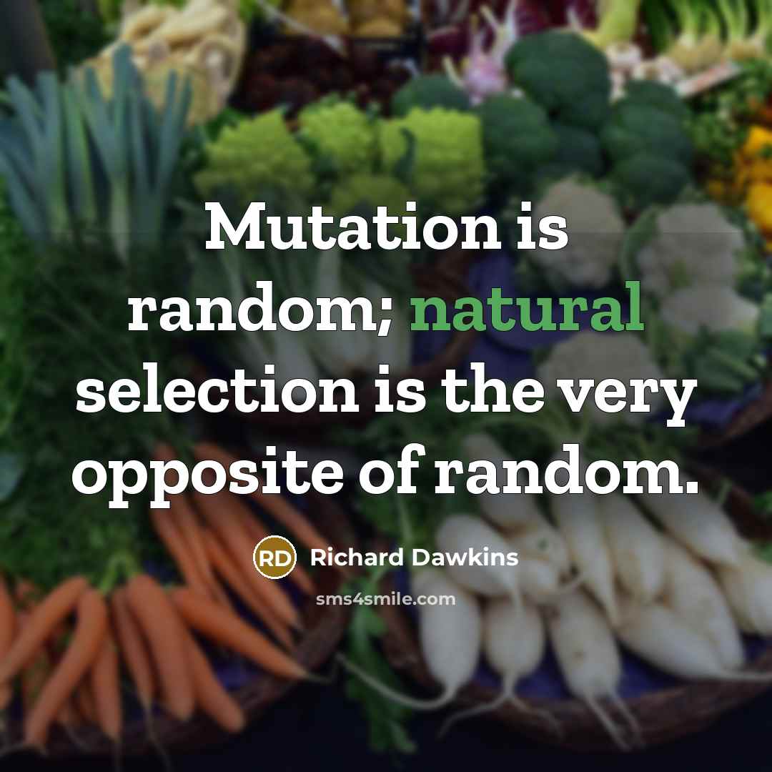 “Mutation is random; natural selection is the very opposite of random.” quote by Richard Dawkins