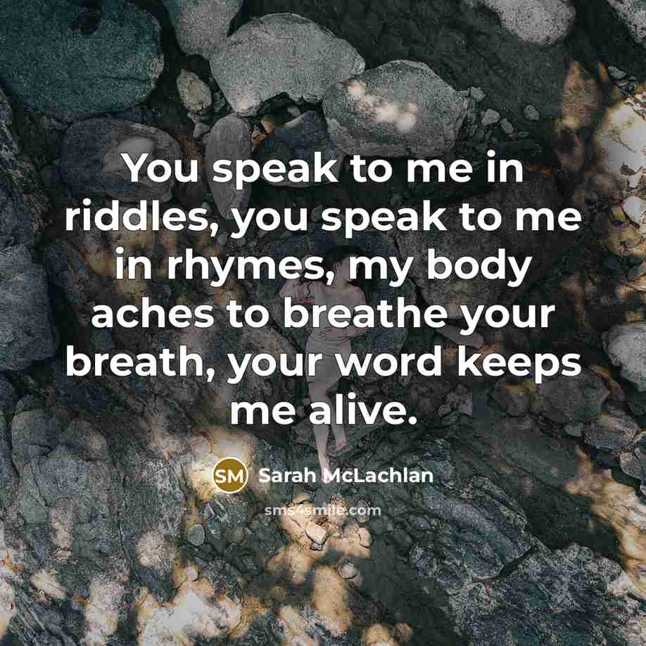 “You speak to me in riddles, you speak to me…” quote by Sarah McLachlan
