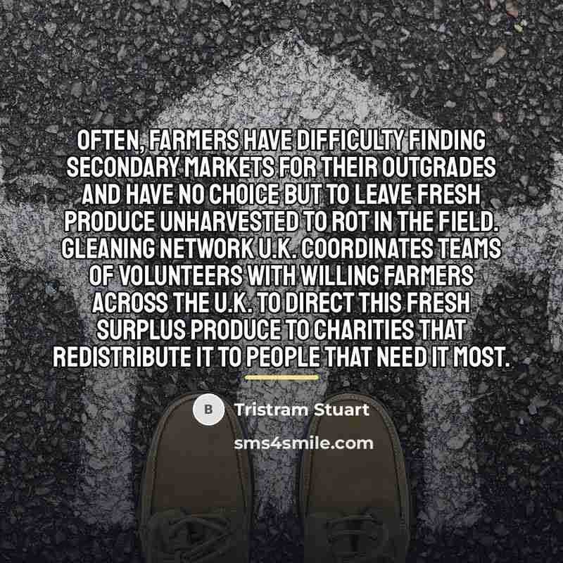 “Often, farmers have difficulty finding secondary markets for their outgrades…” quote by Tristram Stuart