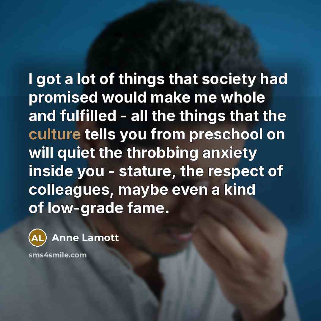 “I got a lot of things that society had promised…” quote by Anne Lamott