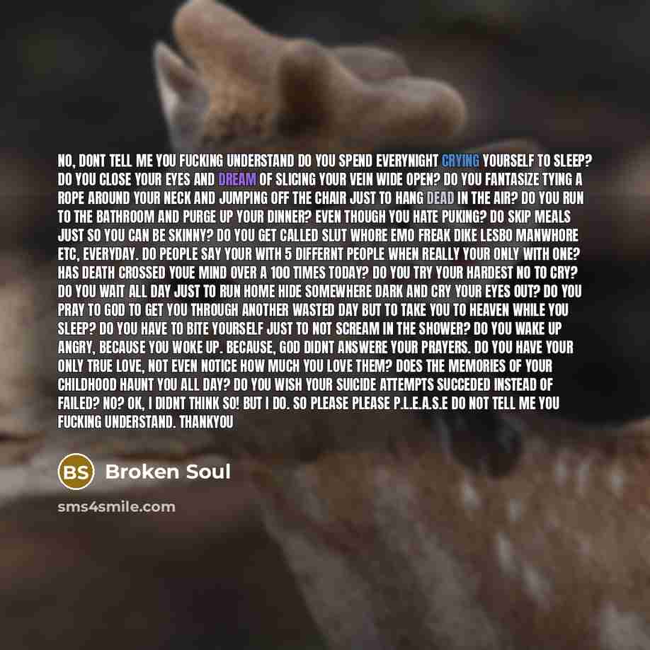 “No, dont tell me you fucking understand Do you spend…” quote by Broken Soul