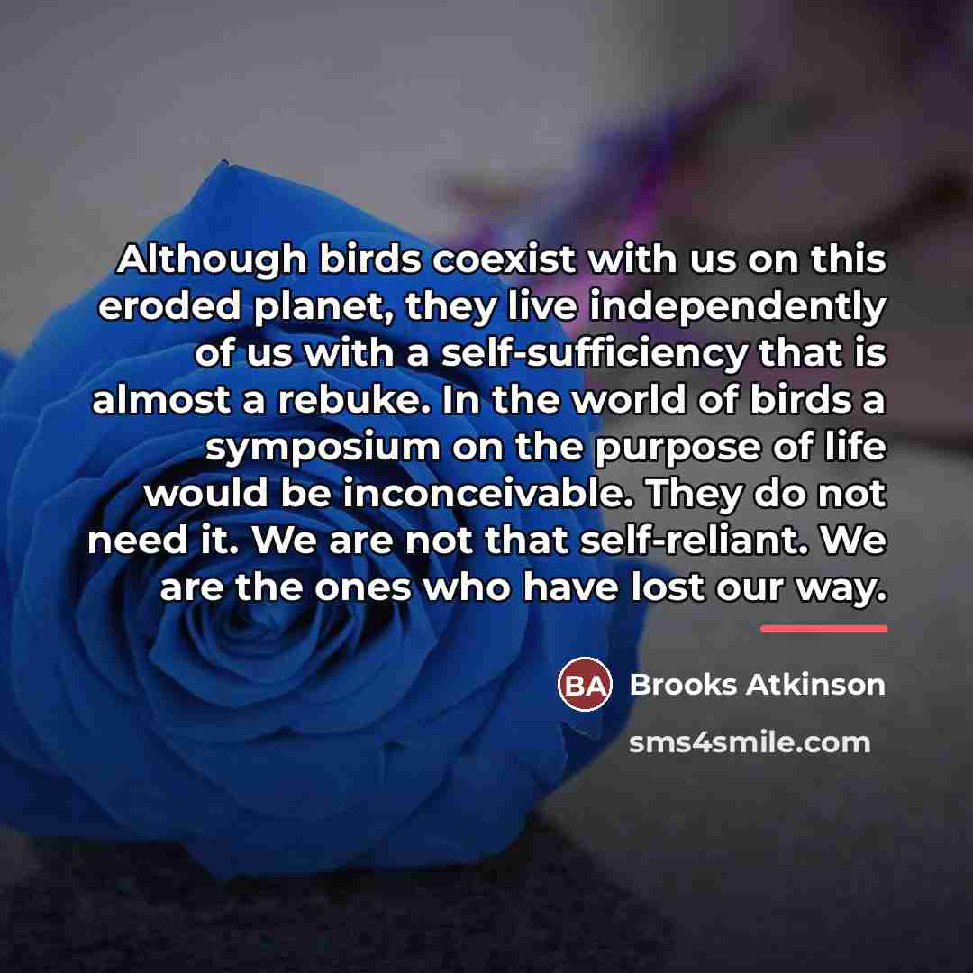 “Although birds coexist with us on this eroded planet, they…” quote by Brooks Atkinson