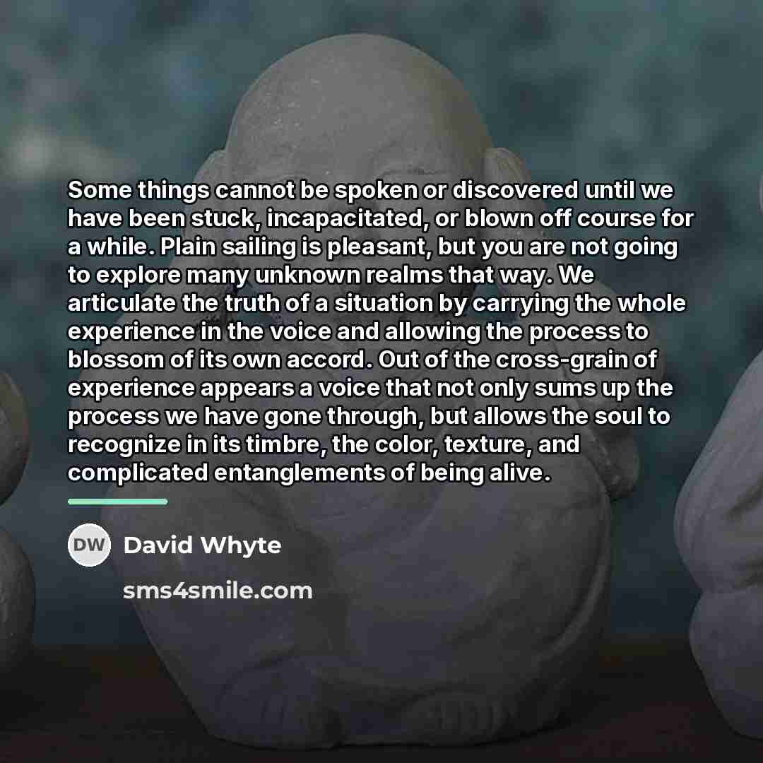 “Some things cannot be spoken or discovered until we have…” quote by David Whyte