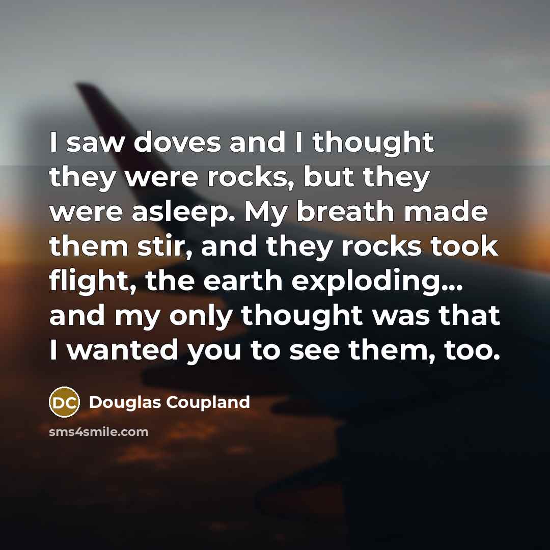 “I saw doves and I thought they were rocks, but…” quote by Douglas Coupland