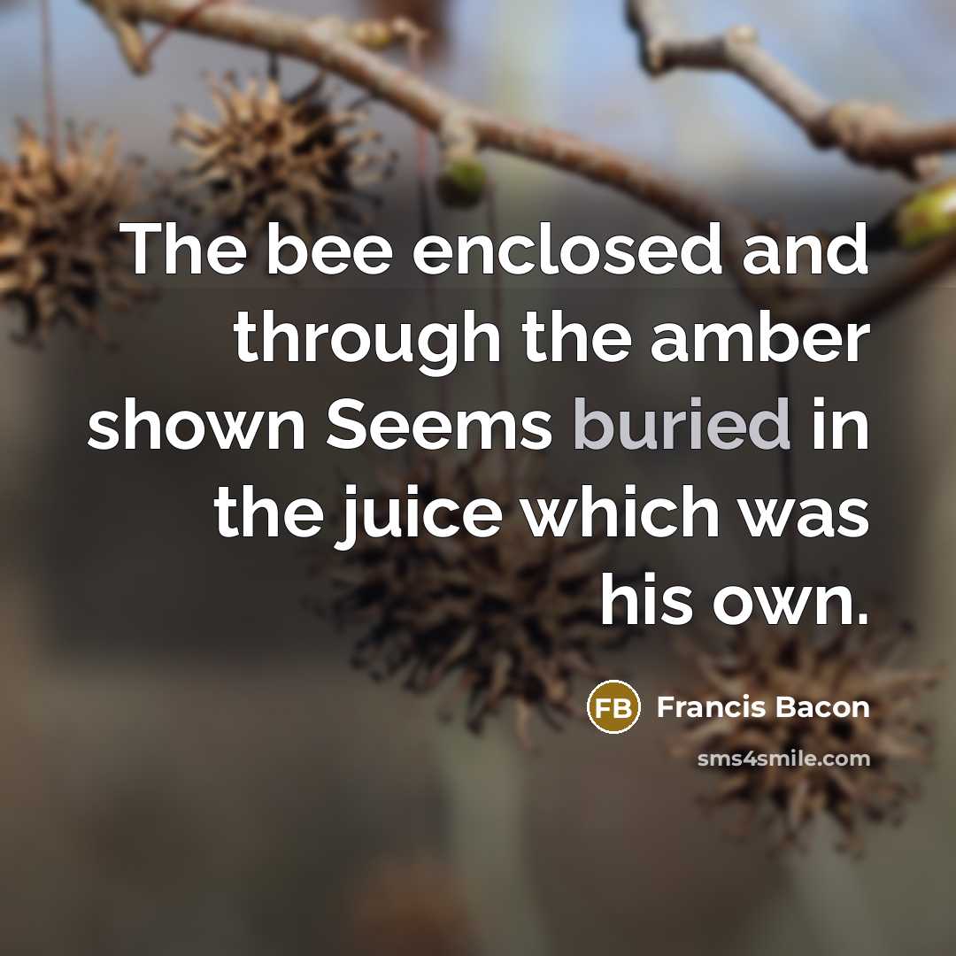 “The bee enclosed and through the amber shown Seems buried…” quote by Francis Bacon