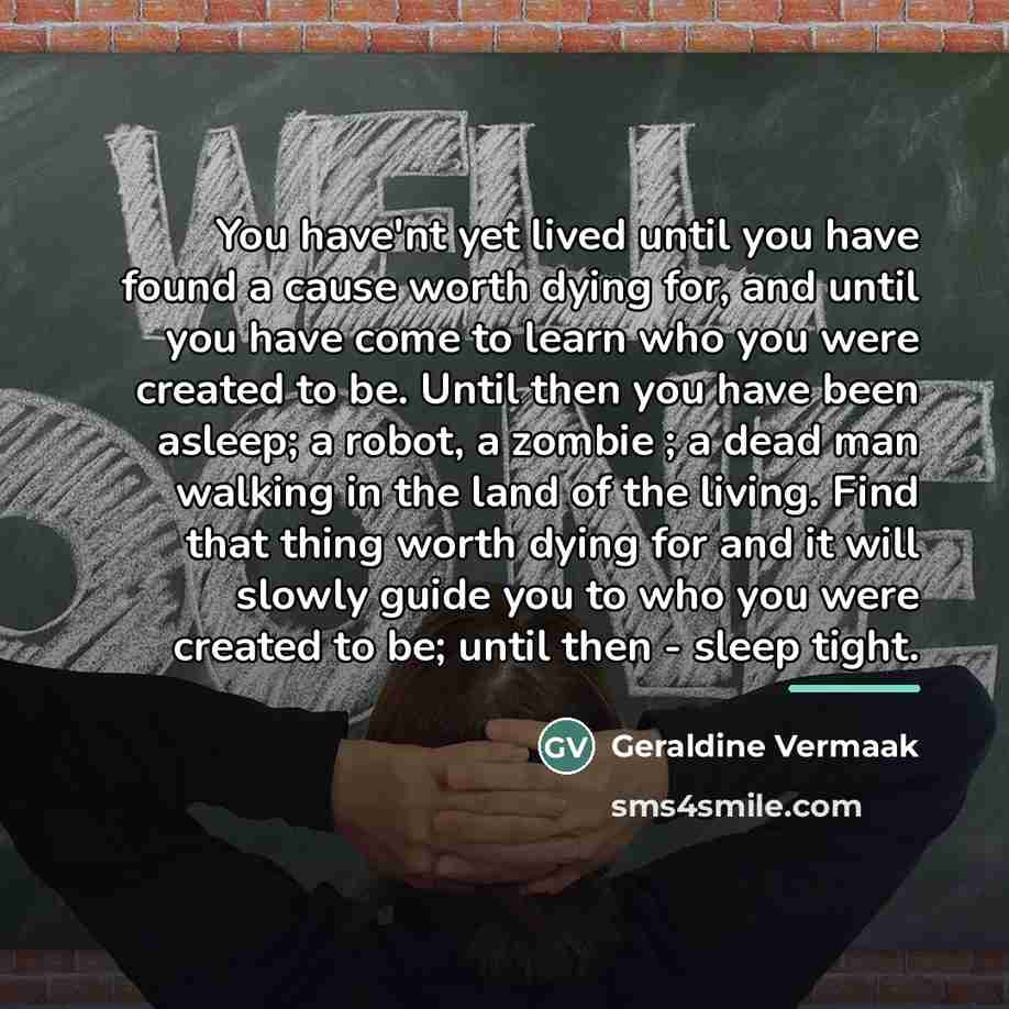 “You have'nt yet lived until you have found a cause…” quote by Geraldine Vermaak