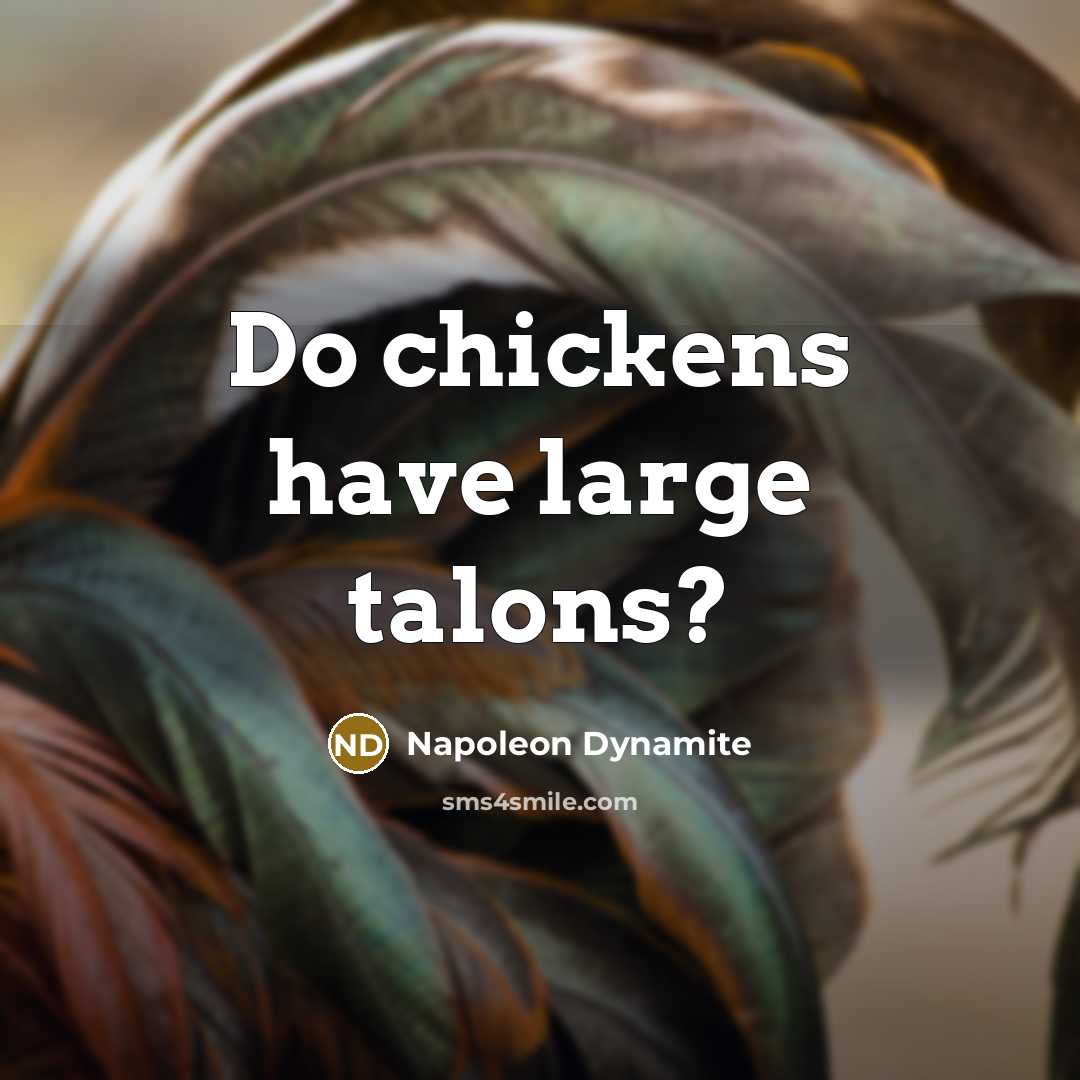 “Do chickens have large talons?…” quote by Napoleon Dynamite