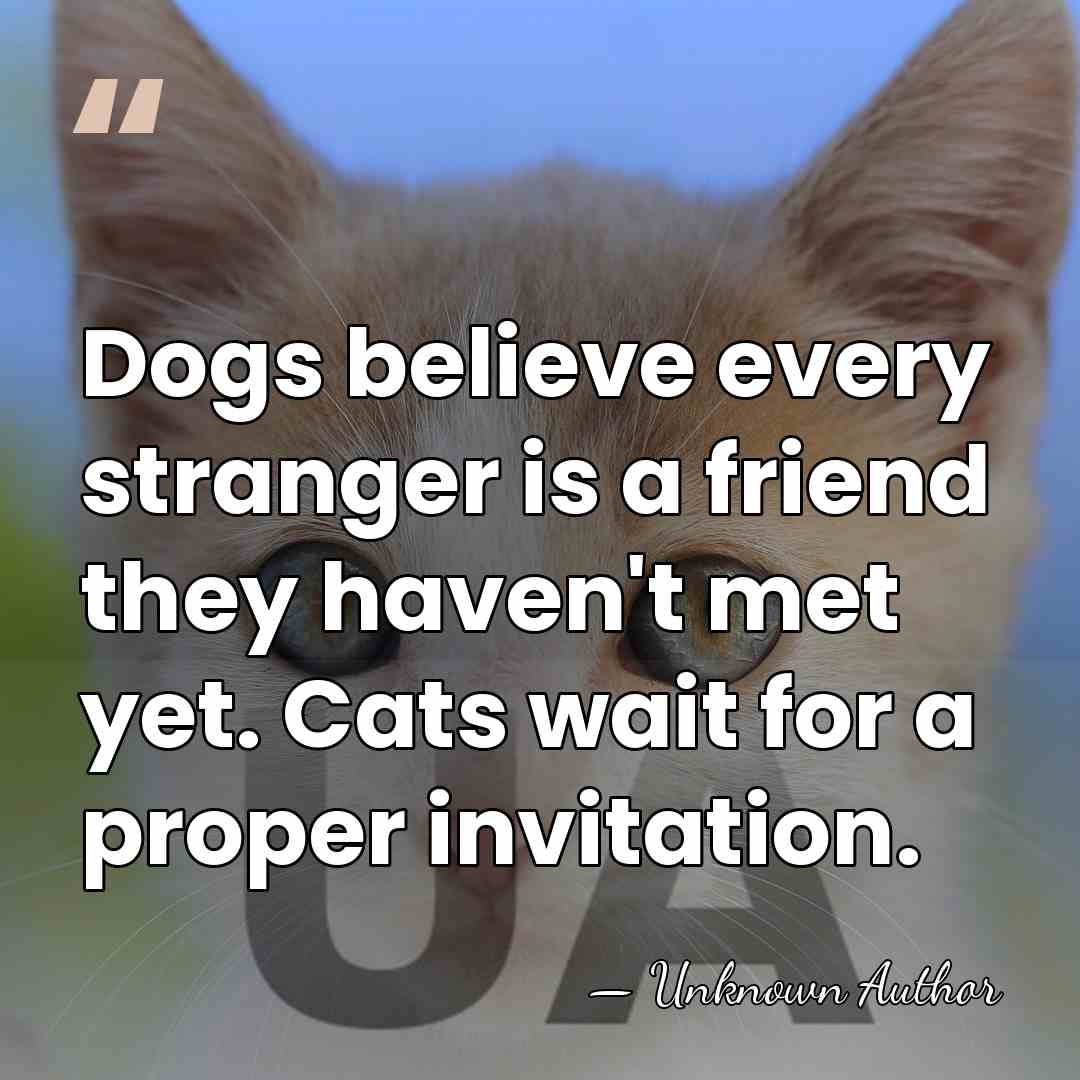Dogs believe every stranger is a friend they haven't met yet. Cats&hellip; - Unknown Author