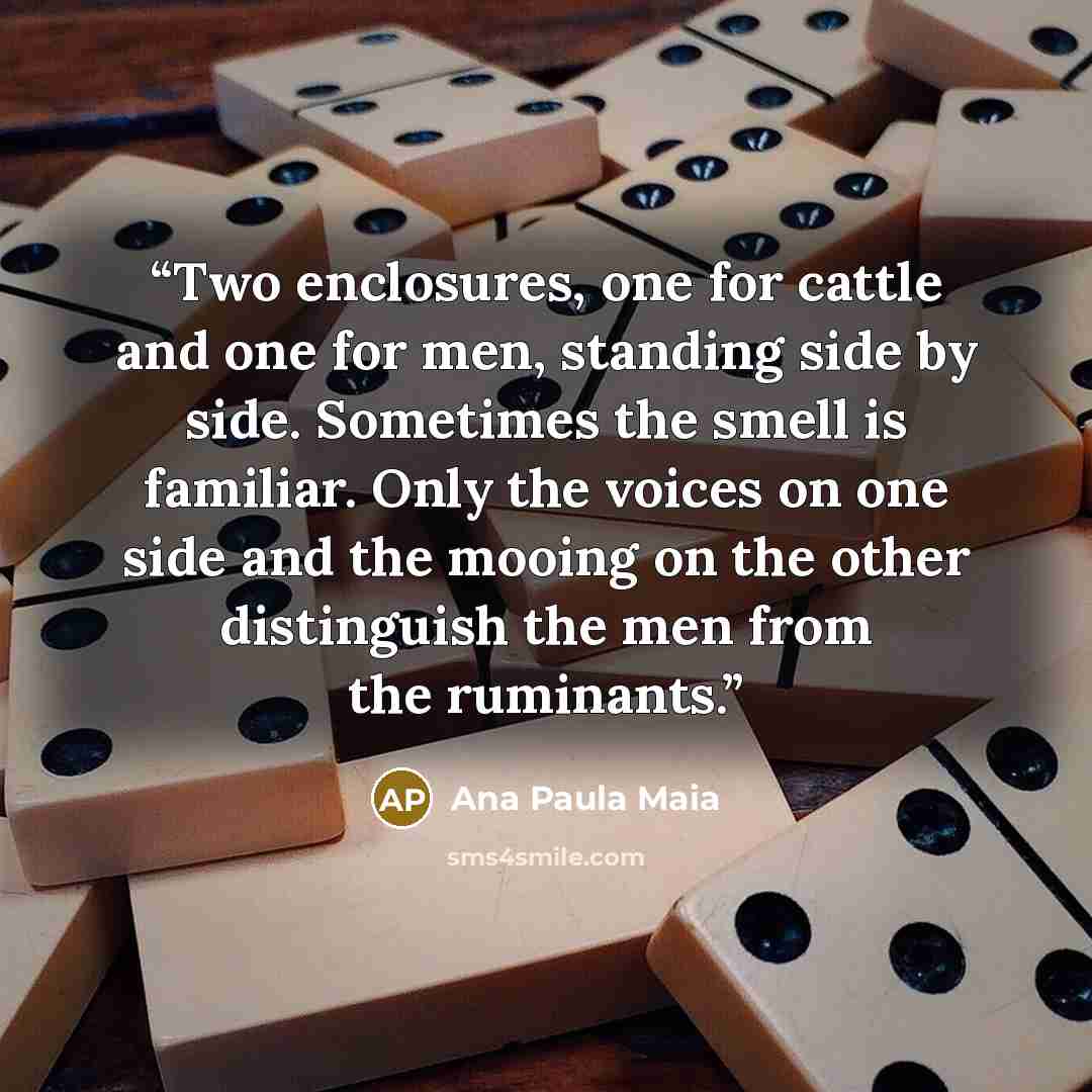 “Two enclosures, one for cattle and one for men, standing side by side. Sometimes the smell is familiar. Only the voices on one side and the mooing on the other distinguish the men from the ruminants.” quote by Ana Paula Maia