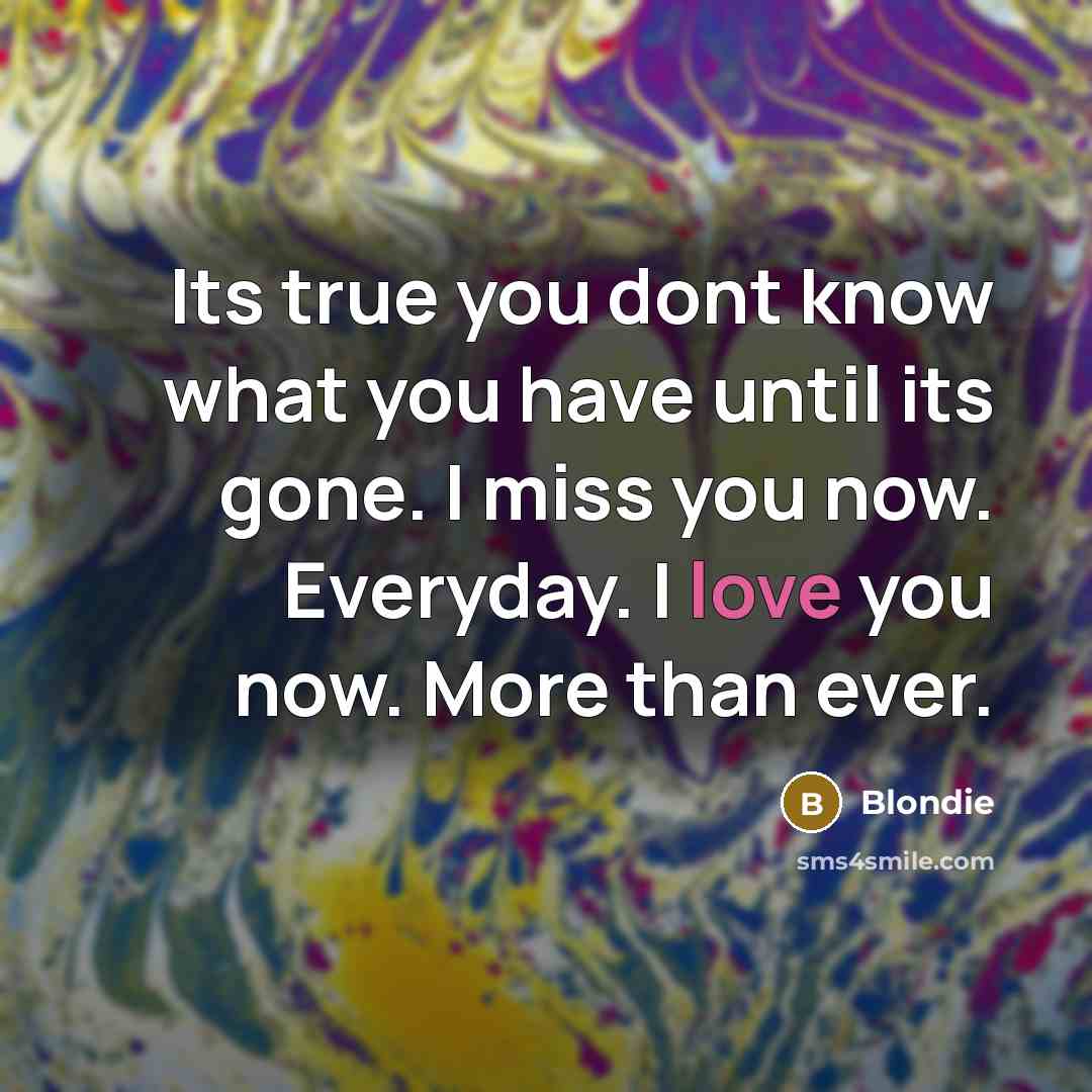 “Its true you dont know what you have until its gone. I miss you now. Everyday. I love you now. More than ever.” quote by Blondie