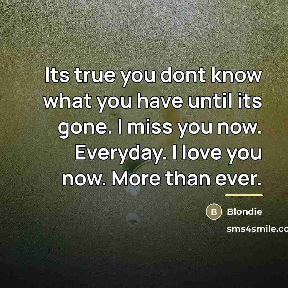 “Its true you dont know what you have until its…” quote by Blondie