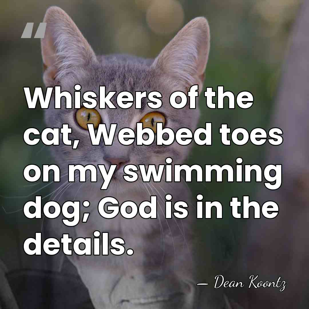Whiskers of the cat, Webbed toes on my swimming dog; God is&hellip; - Dean Koontz