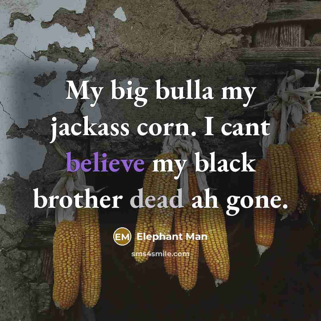 “My big bulla my jackass corn. I cant believe my…” quote by Elephant Man