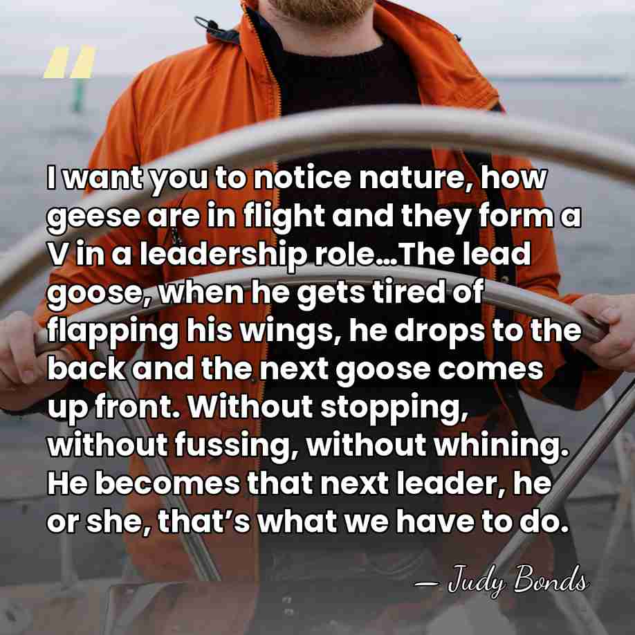 I want you to notice nature, how geese are in flight and&hellip; - Judy Bonds