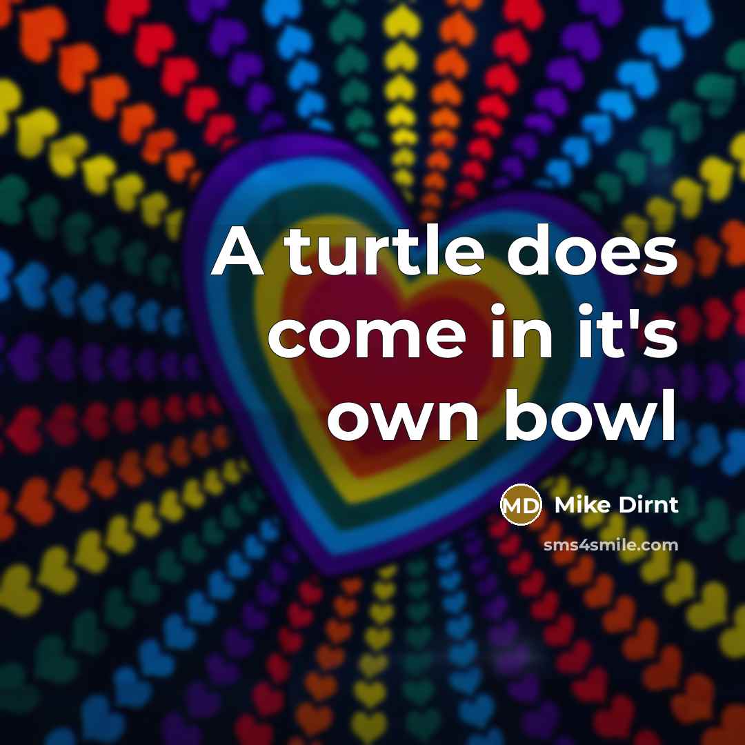 “A turtle does come in it's own bowl” quote by Mike Dirnt