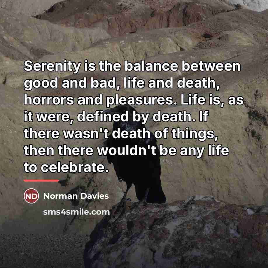“Serenity is the balance between good and bad, life and…” quote by Norman Davies