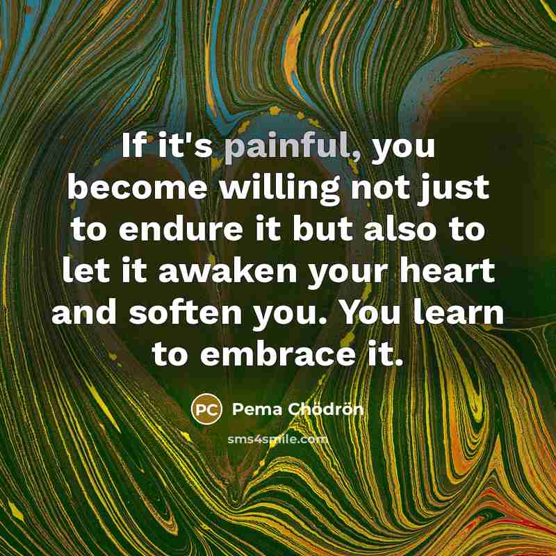 “If it's painful, you become willing not just to endure…” quote by Pema Chodron