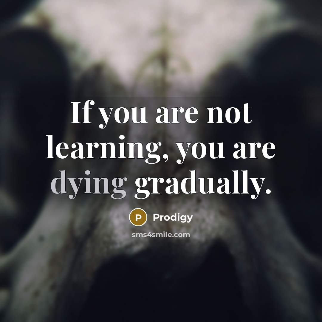 “If you are not learning, you are dying gradually.…” quote by Prodigy