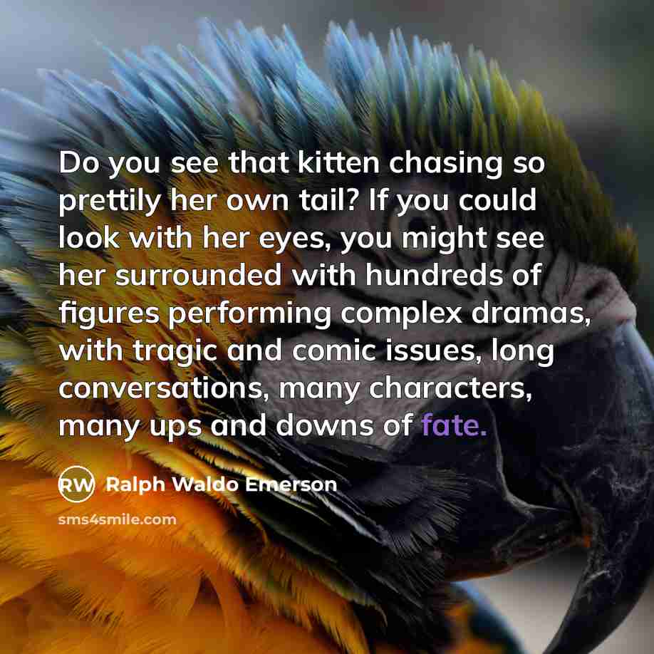 “Do you see that kitten chasing so prettily her own…” quote by Ralph Waldo Emerson