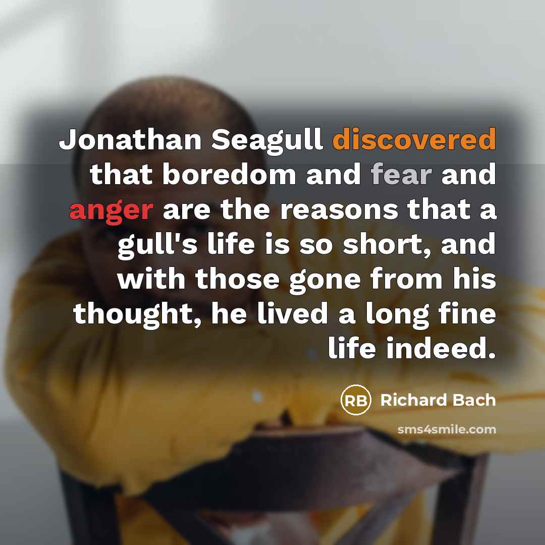 “Jonathan Seagull discovered that boredom and fear and anger are the reasons that a gull's life is so short, and with those gone from his thought, he lived a long fine life indeed.” quote by Richard Bach