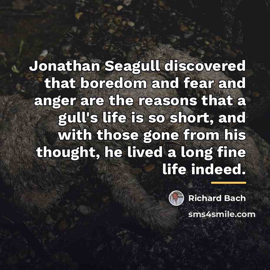 “Jonathan Seagull discovered that boredom and fear and anger are…” quote by Richard Bach