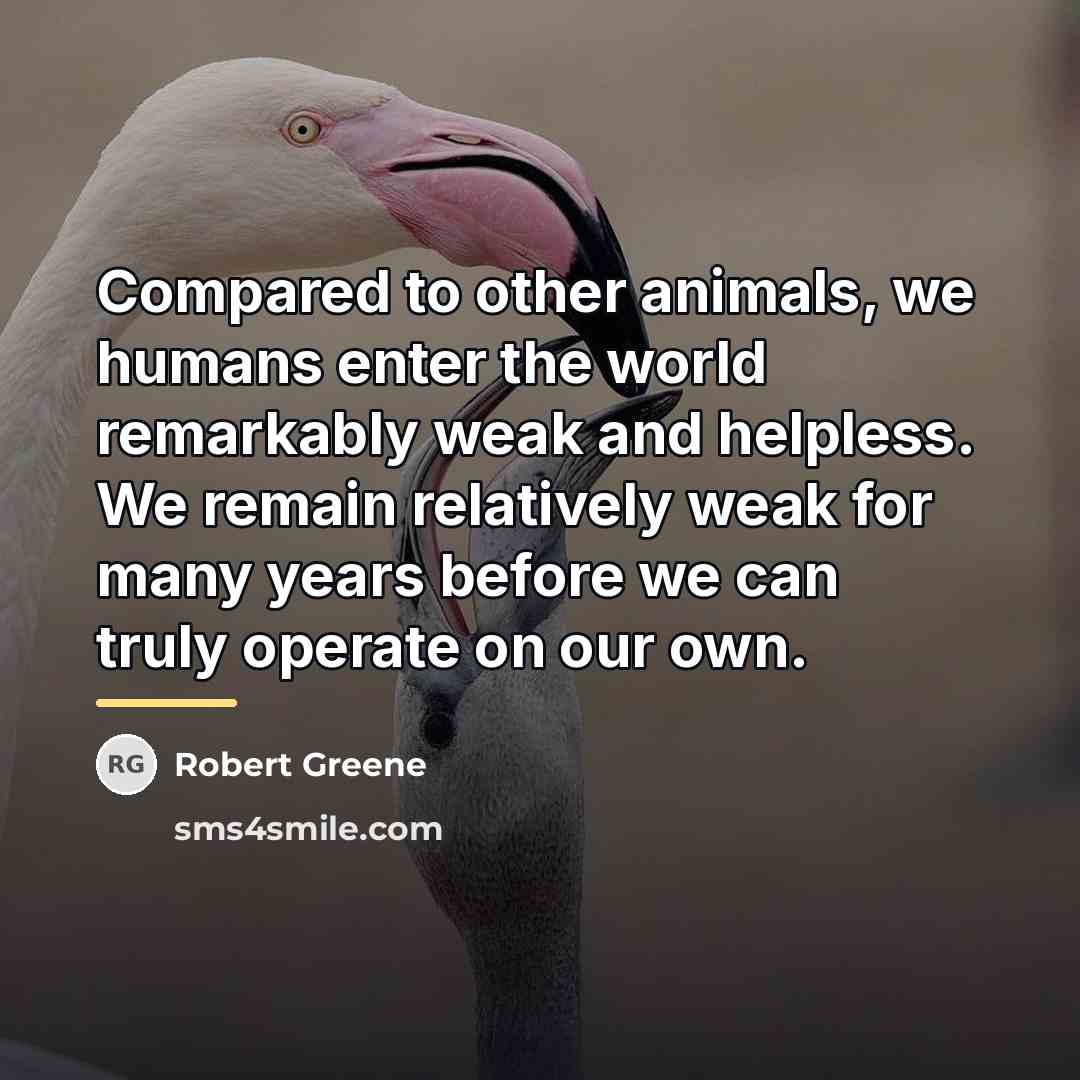 “Compared to other animals, we humans enter the world remarkably…” quote by Robert Greene