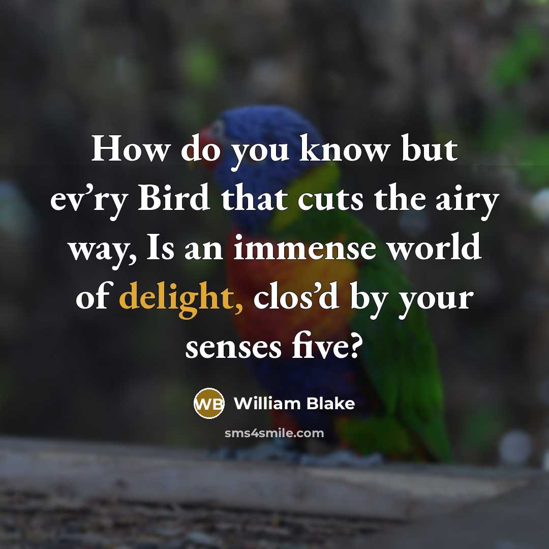 “How do you know but ev’ry Bird that cuts the…” quote by William Blake