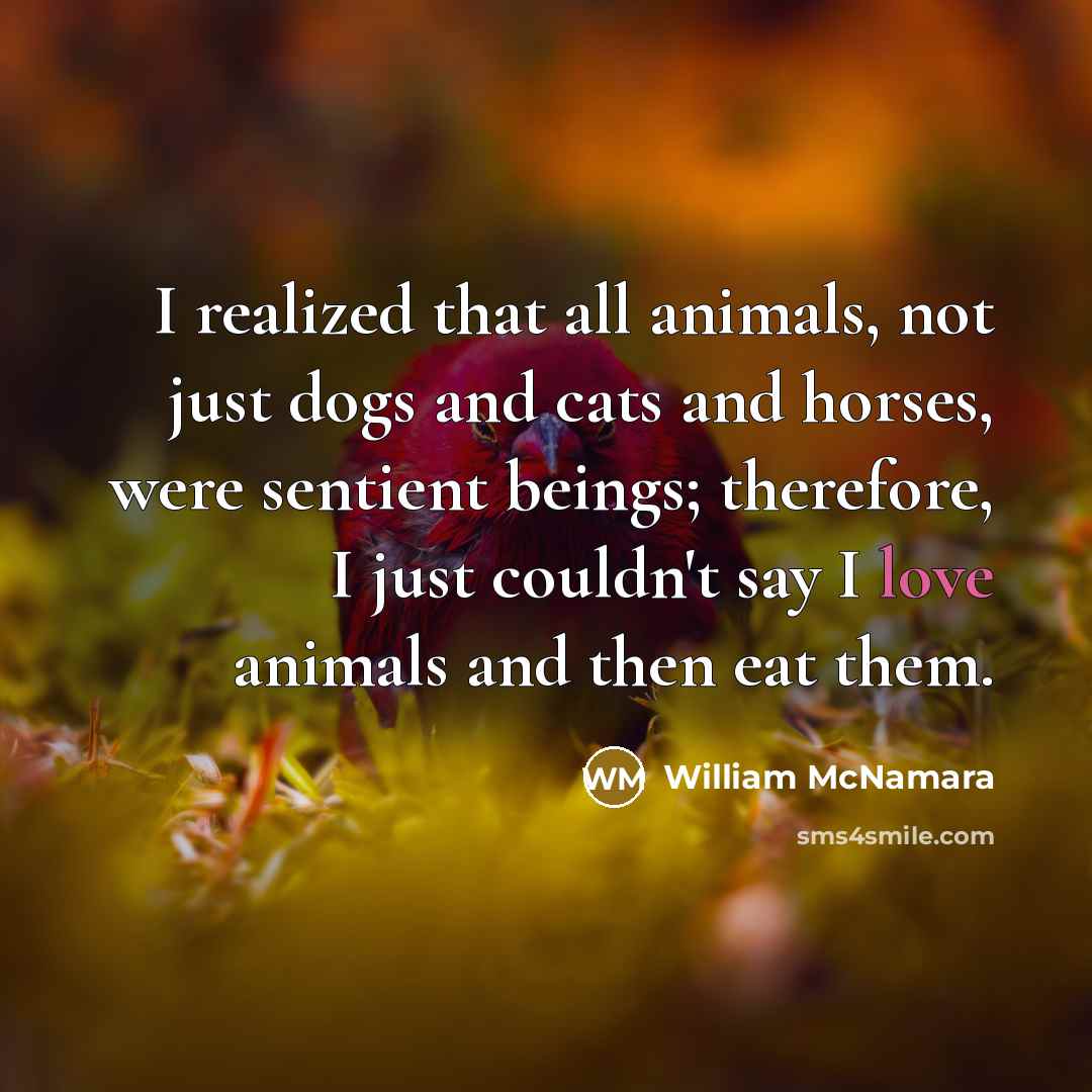 “I realized that all animals, not just dogs and cats…” quote by William McNamara